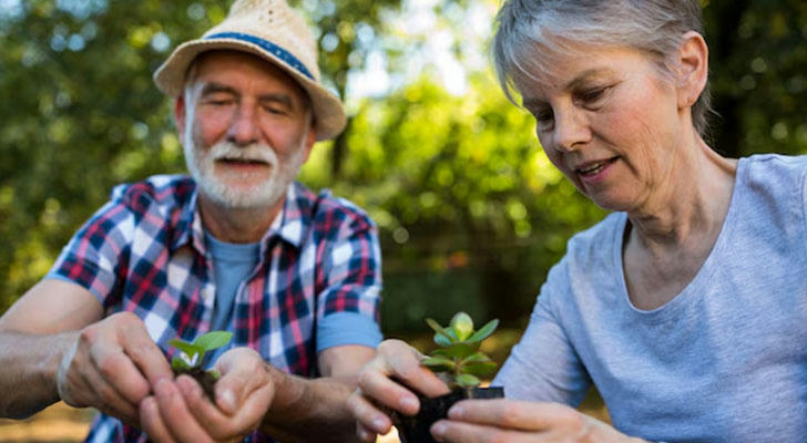 Do’s and don’ts for buying used pickup trucks
