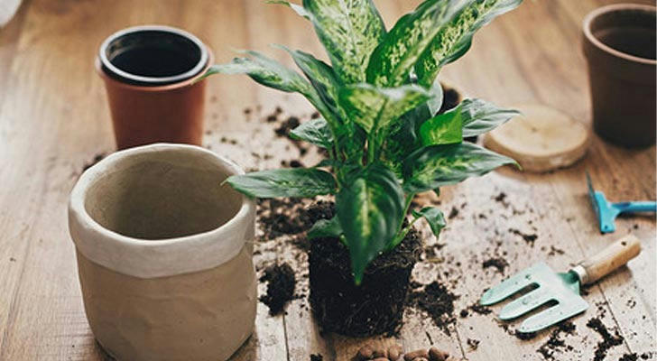 Do’s and don’ts for buying used pickup trucks