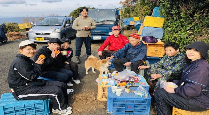 Do’s and don’ts for buying used pickup trucks